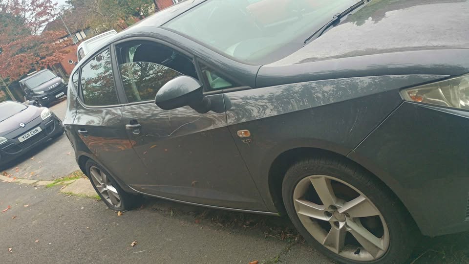 2010 SEAT Ibiza - Image 3